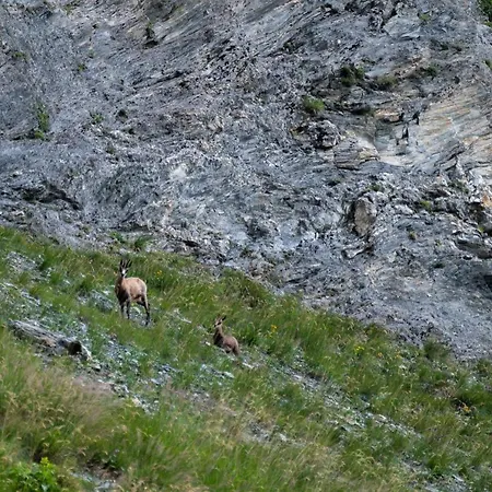 Hotel Gratz Großarl