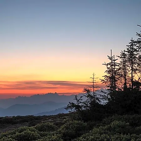 Отель Ziach & Candy