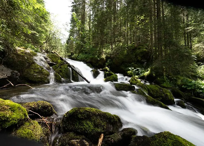 Ξενοδοχείο Gratz 2*